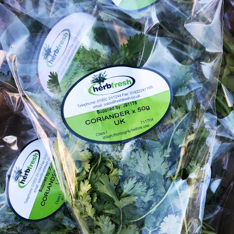 Fresh Coriander