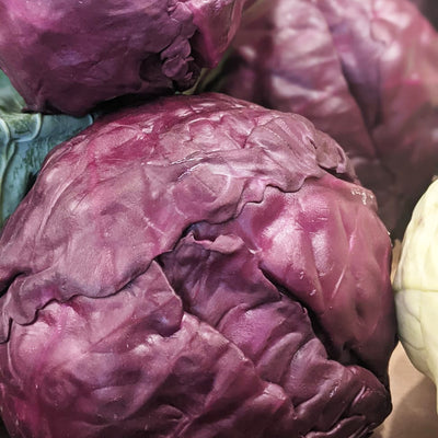 Red cabbage